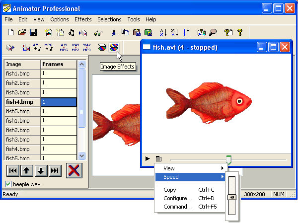 Antechinus Media Editor Screenshot